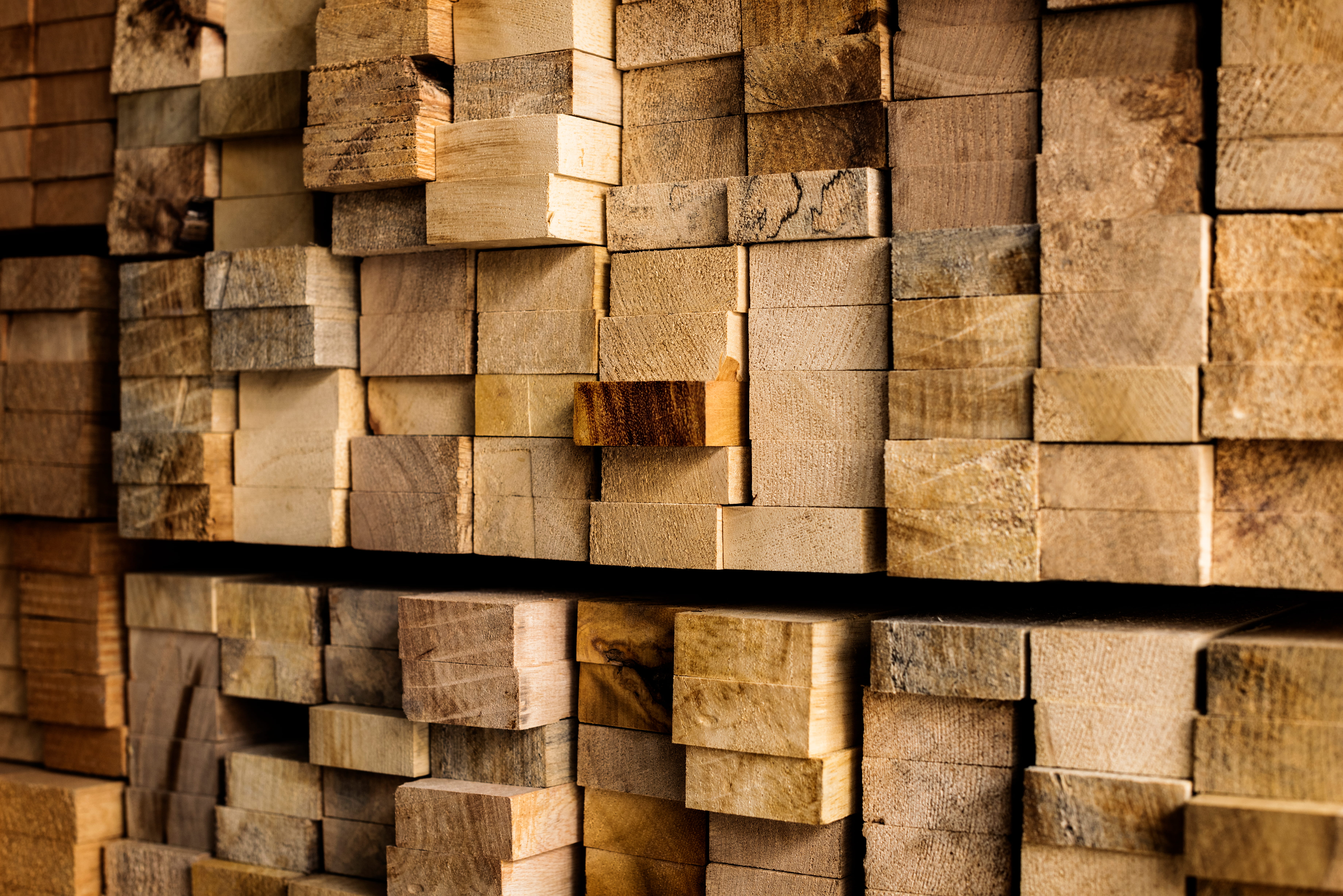 Lumber & Timber